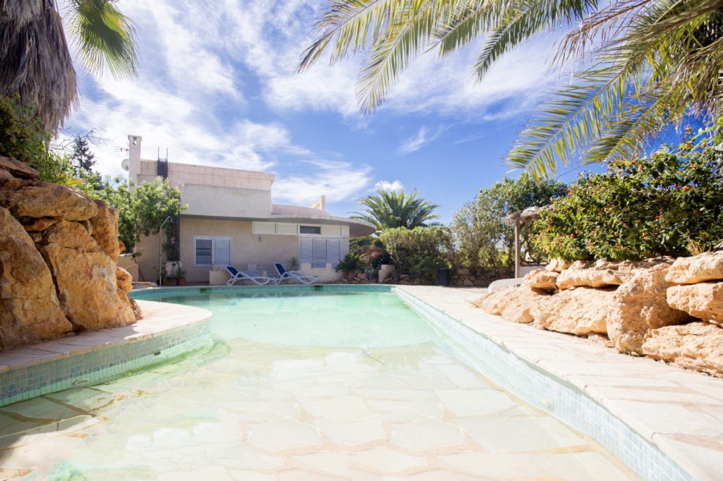 the tropical garden and pool
