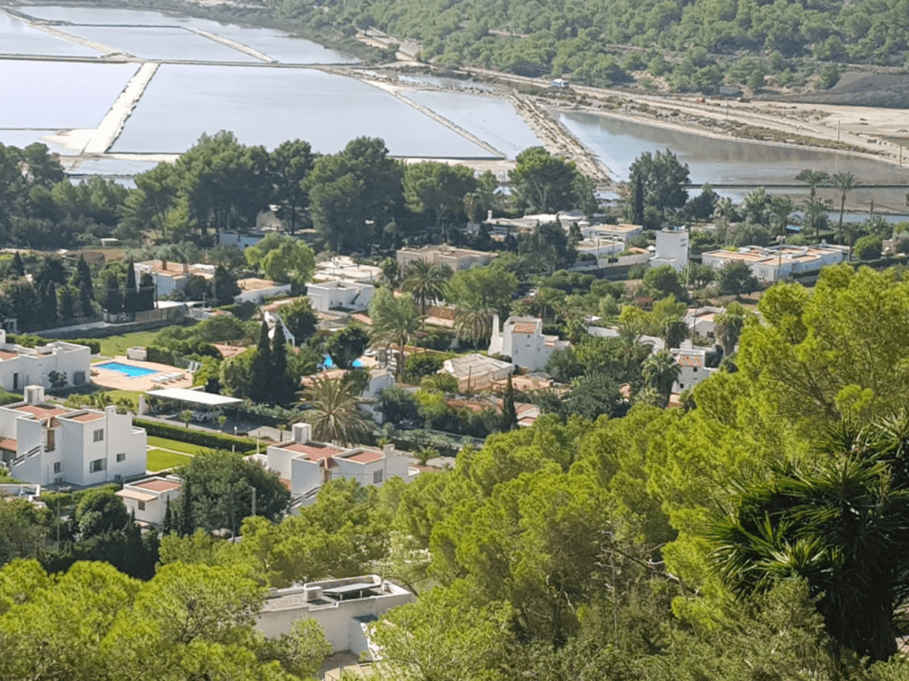 arial view feeds finca