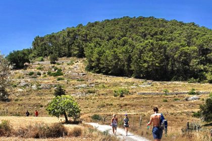 Ibiza Villas 2000 - Winter in Ibiza - Everything you need to know about Ibiza out of season!