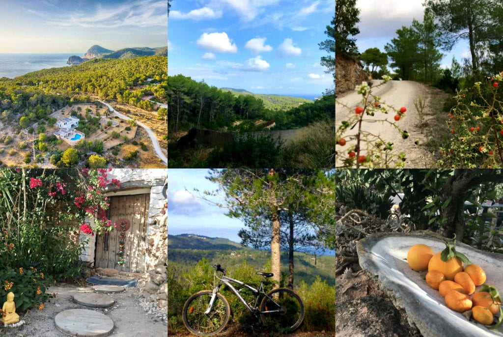 Ibiza im Februar ländlich und in Dörfern